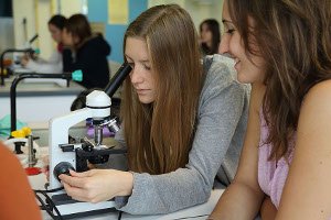 domaine scientifique domaine scientitifque en bts pa