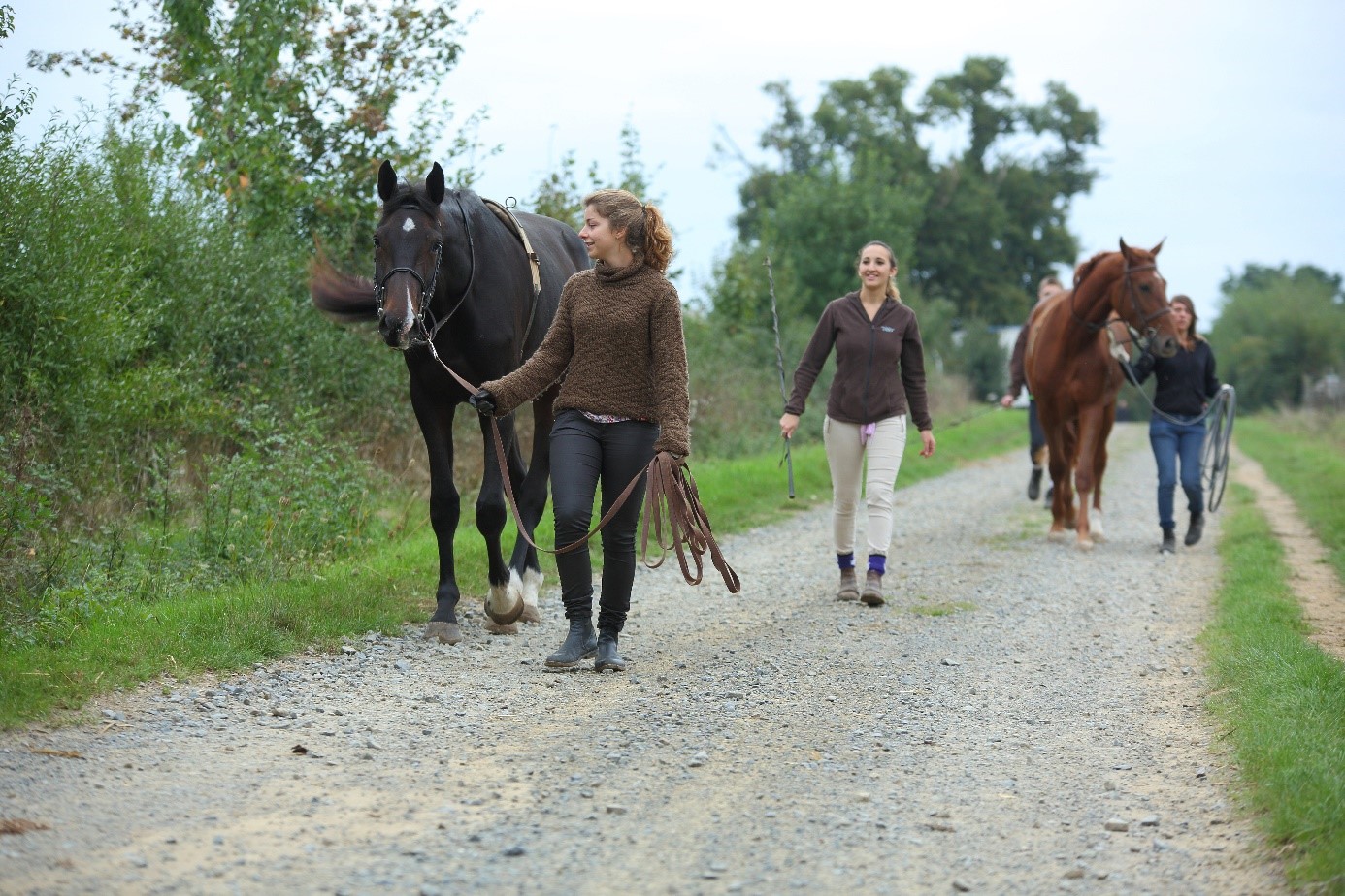 domaine professionnel spécifique bts acse