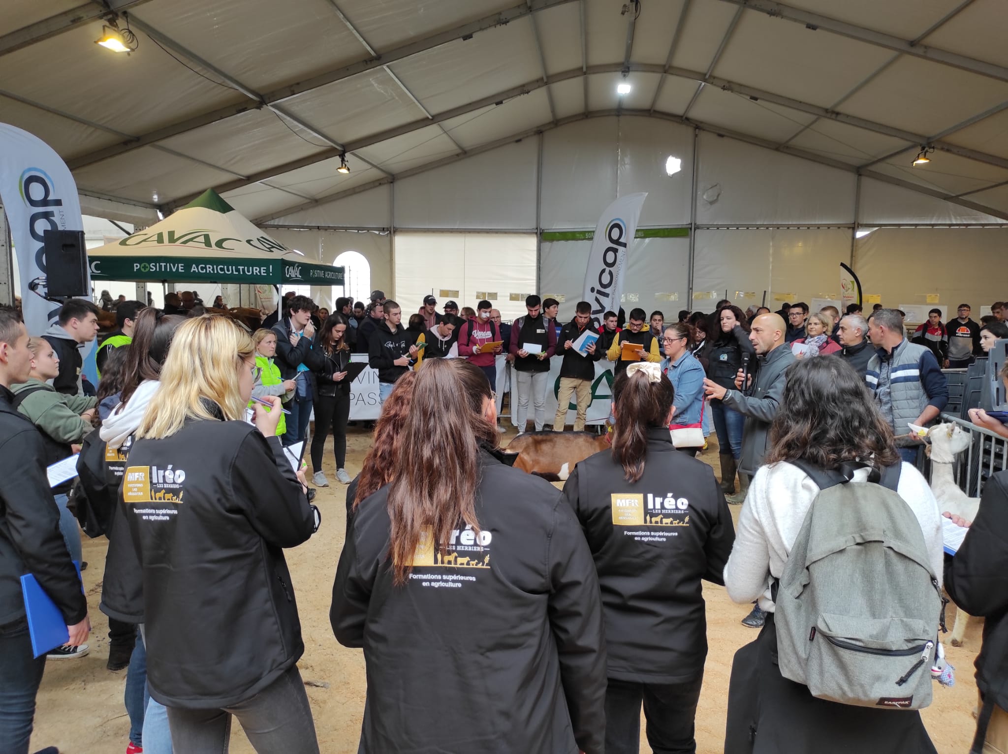 Etudiants de l'IREO les Herbiers sur le ring pour le pointage caprin