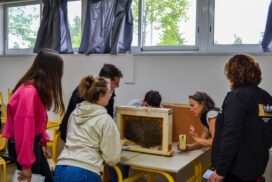 Atelier : Quiz sur l'apiculture + Ruche vitrée