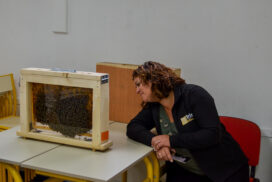 Atelier : Quiz sur l'apiculture + Ruche vitrée