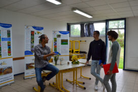 Atelier : La pollinisation