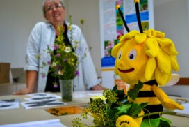 Atelier : La pollinisation
