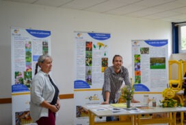 Atelier : La pollinisation