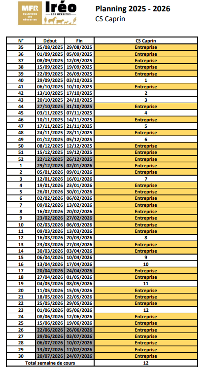 planning CS Caprin 2025-26