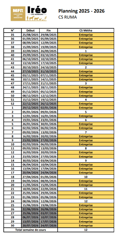 planning CS RUMA 2025-26