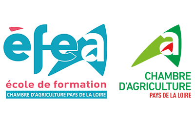 EFEA_CA_logo
