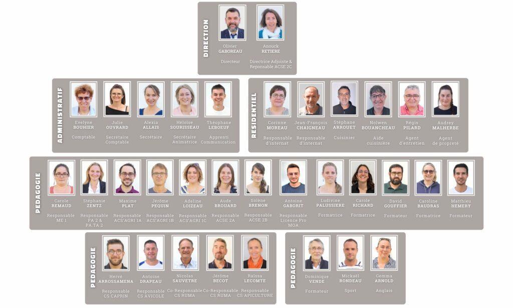 Organigramme salariés 2026